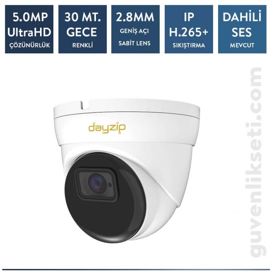 Dayzip DZ-AW5330 5MP IP Starlight Dome Sesli Kamera